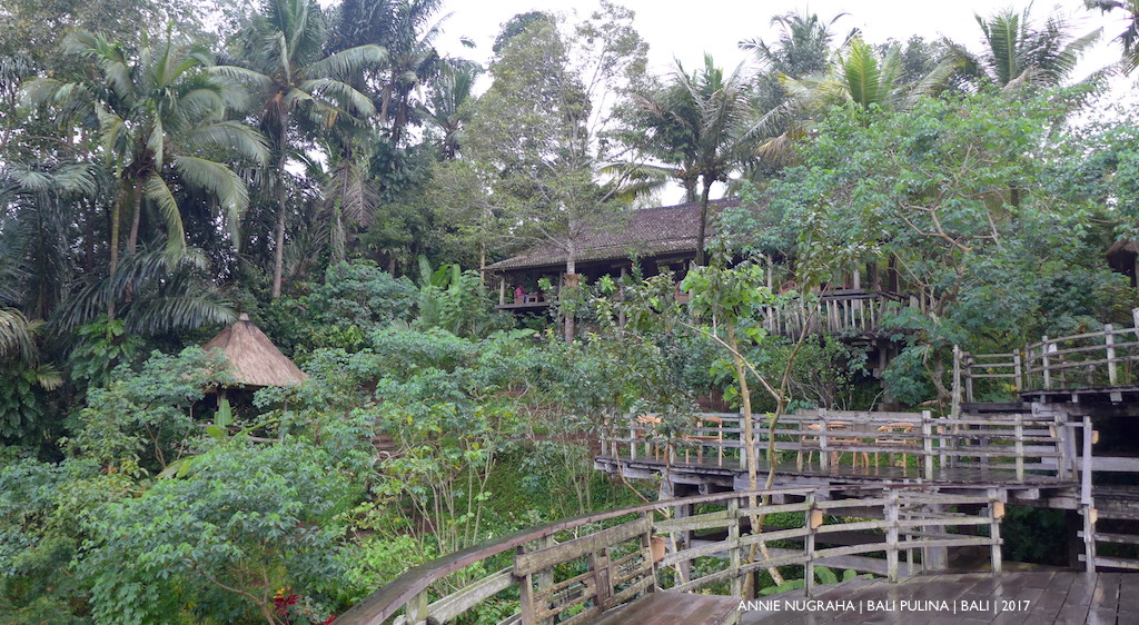 Berwisata AGRO di Bali. Mendekat ke Alam dan Mencintai Bumi