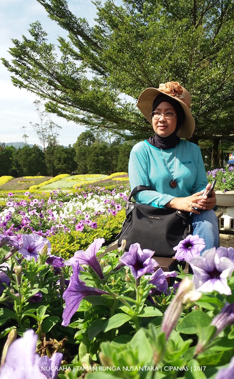 Taman Bunga Nusantara. Discover Beautiful Where The Flowers of The World Grow