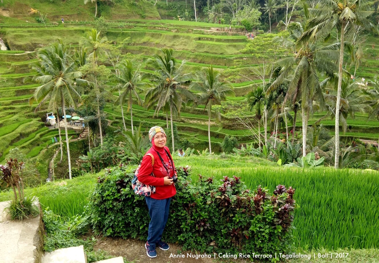 Indahnya Sawah Terasering di Ceking Rice Terrace | Tegallalang | BALI