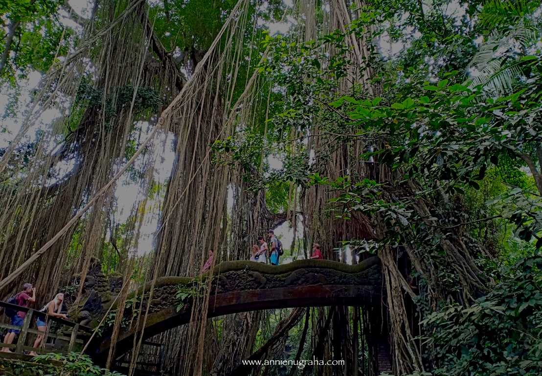 MONKEY FOREST Ubud. Destinasi Wisata Lawas yang (Masih) Populer di BALI