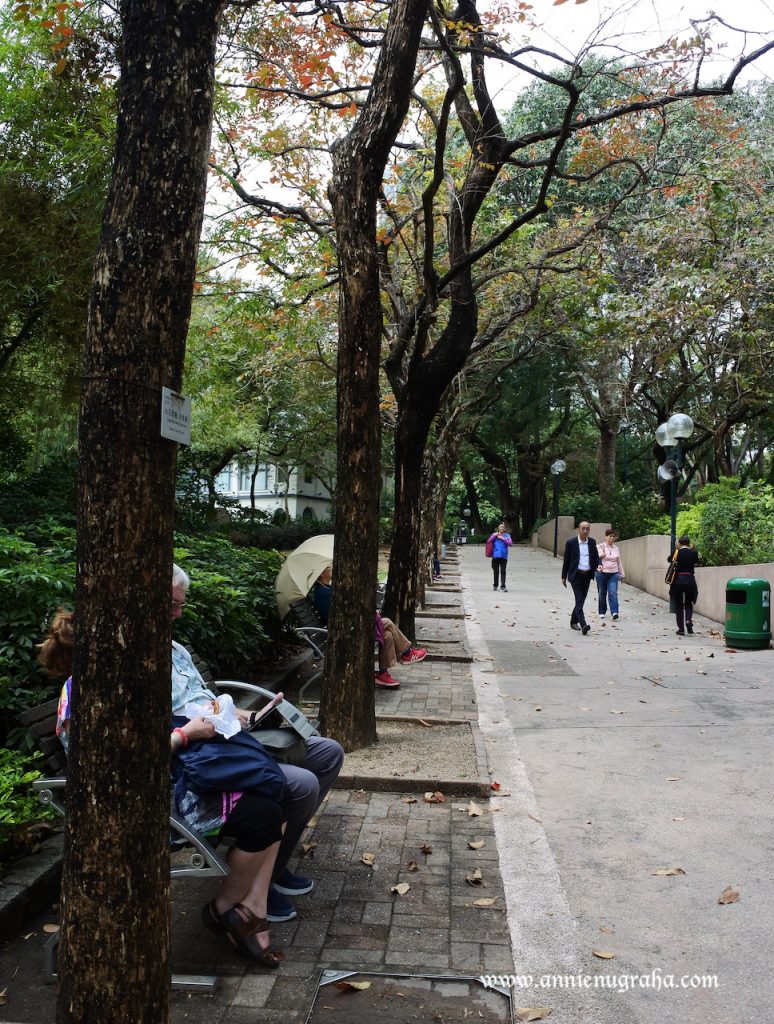 KOWLOON PARK. Taman Kaya Oksigen di Tengah Kepadatan Hong Kong