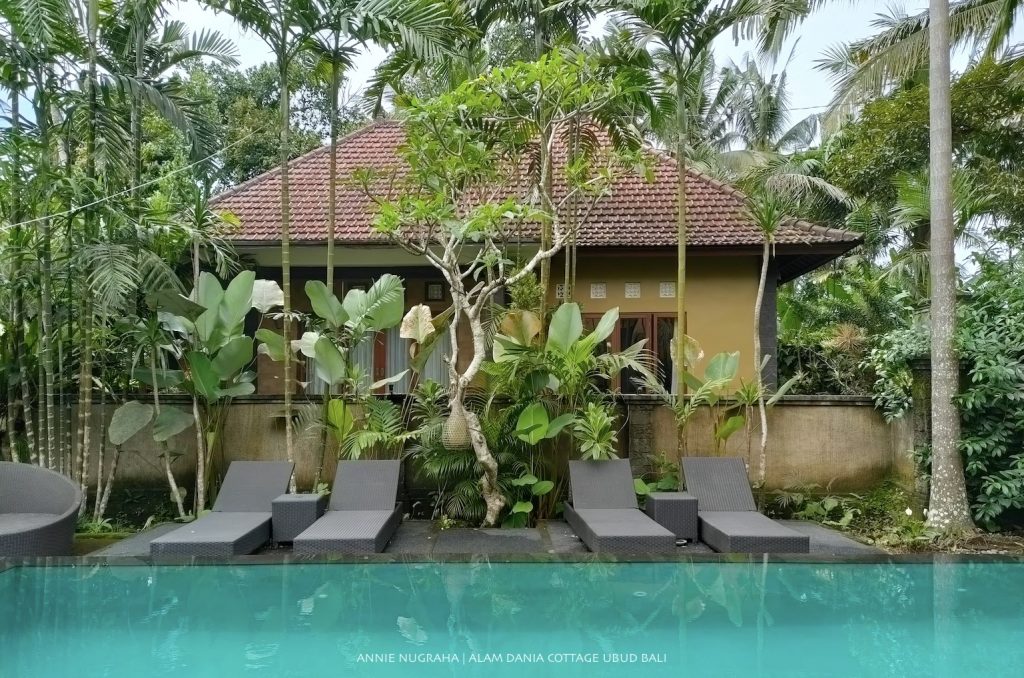 Menyesap Indahnya Semesta dan Keheningan Bali di Alam Dania Cottage, Ubud.