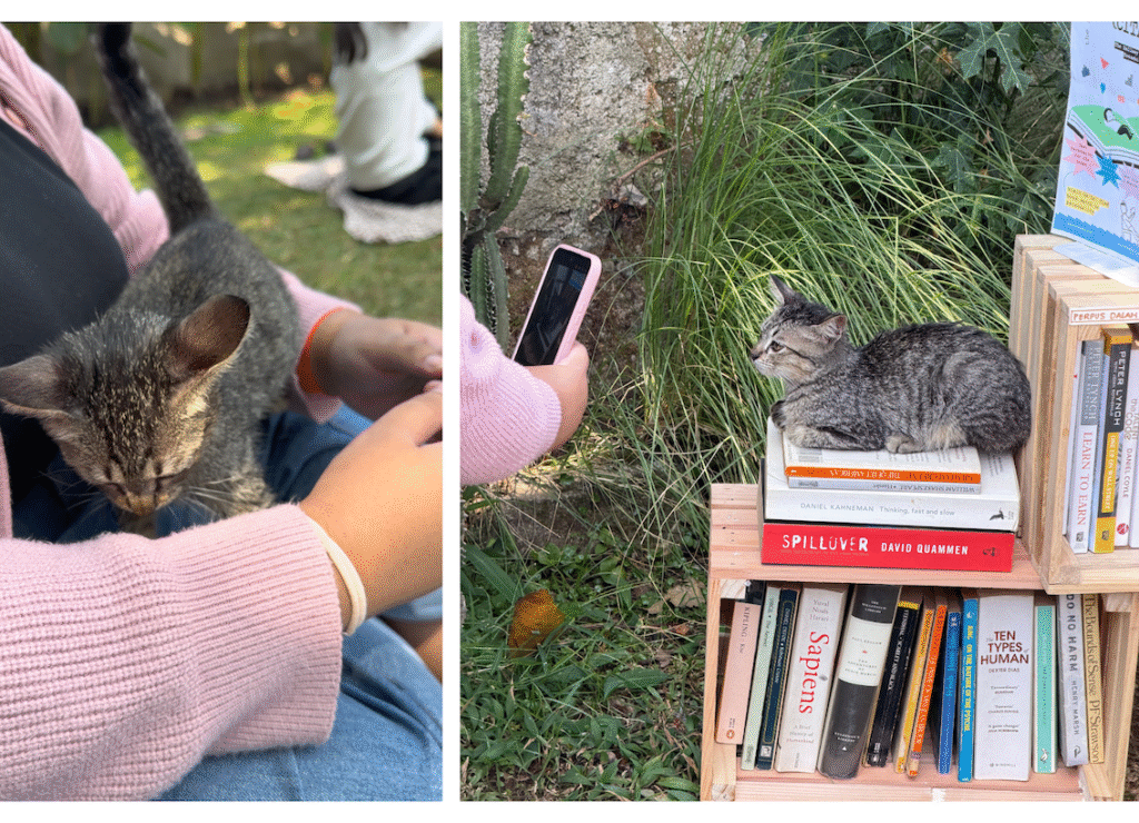 Piknik Santai dengan Para Pecinta Buku di Acara BAGI BACA III