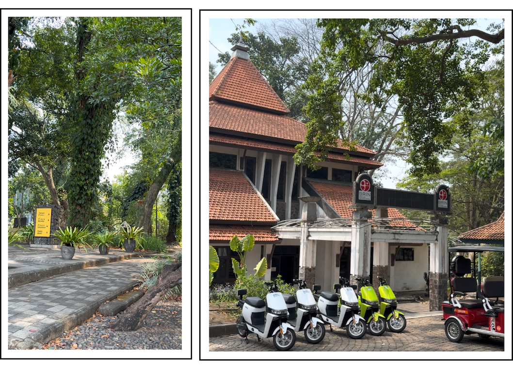 Menjelajah Keindahan Hijau di Jantung Kebun Raya Purwodadi