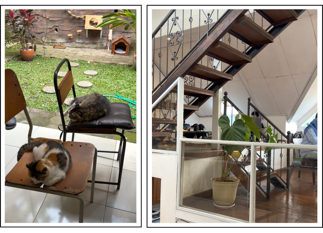 Menikmati Waktu Membaca Serasa di Rumah di HOWL Library and Creative Space Bandung